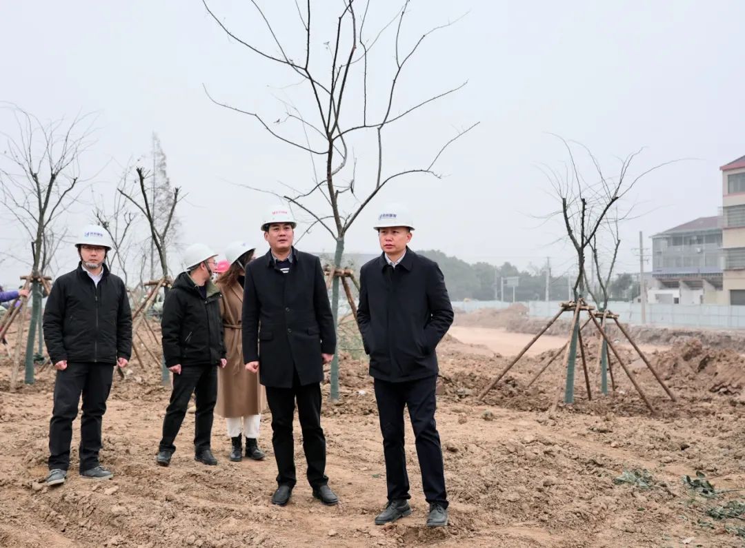 張?jiān)骑w率隊(duì)調(diào)研白云園林公司 聚焦在建項(xiàng)目與樹木種植經(jīng)營(yíng)，推動(dòng)綠色發(fā)展新篇章