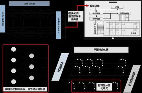 有機(jī)智能材料與器件?？?光電器件的前沿與展望